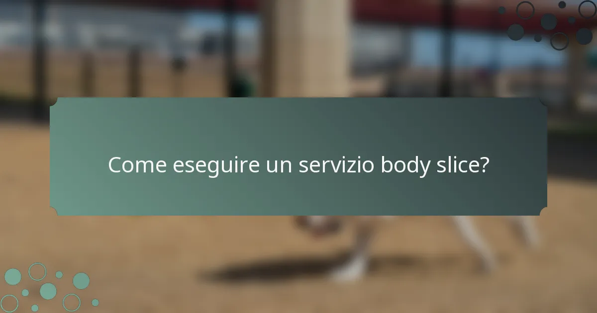 Come eseguire un servizio body slice?