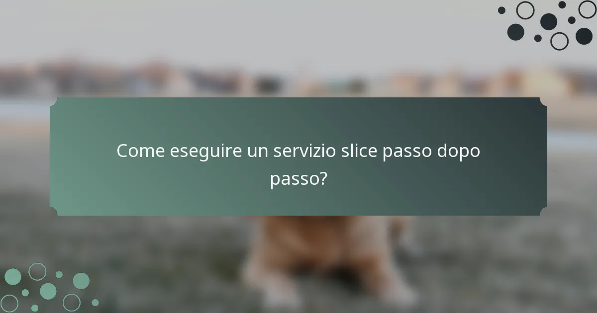 Come eseguire un servizio slice passo dopo passo?